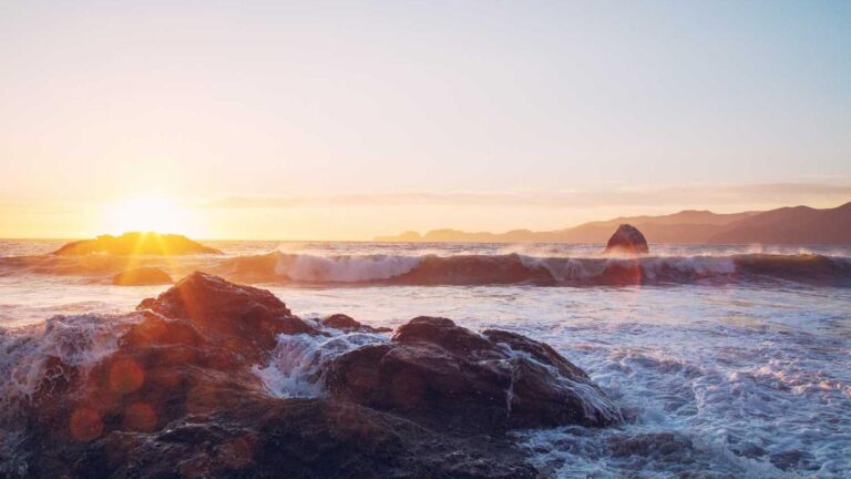 How To Check 99Exch Server Status During Downtime?